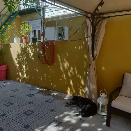 شقة Cozy Studio D *